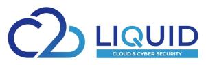 Technology: Liquid C2 launches AI-enabled Google Cloud distribution programme in Africa