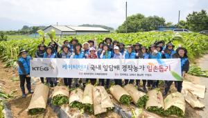 KT&G, 잎담배 농가 수확 지원 나서… 20년째 농촌 상생활동 이어가
