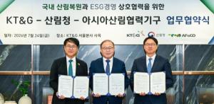 KT&G, 산불 피해 산림 회복 위해 5년간 7만5000그루 심는다